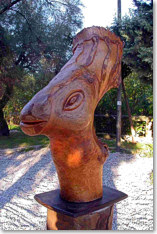 Cervo