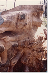 L'Isola Misteriosa