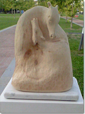 Maternit Animale