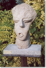 Volto dentro la pietra